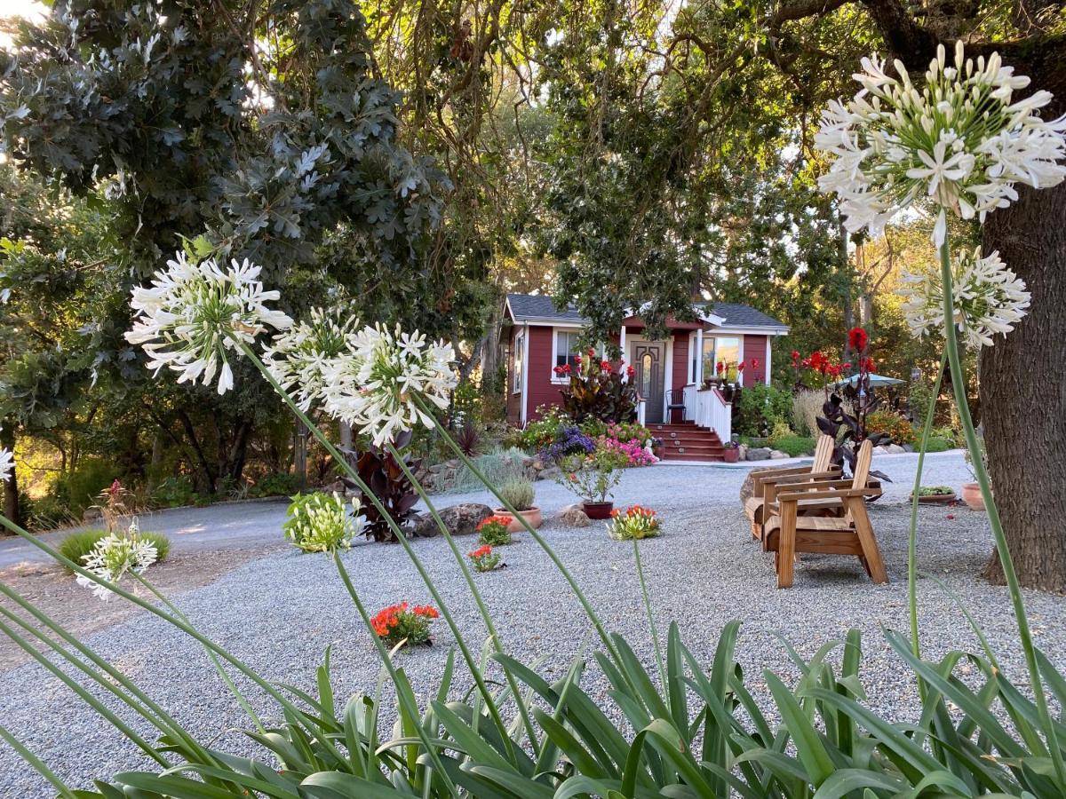 Amitabha Wine Country Cottage Santa Rosa Exterior photo